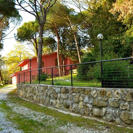 Agriturismo Poggio Al Pino Montelupo Fiorentino Εξωτερικό φωτογραφία