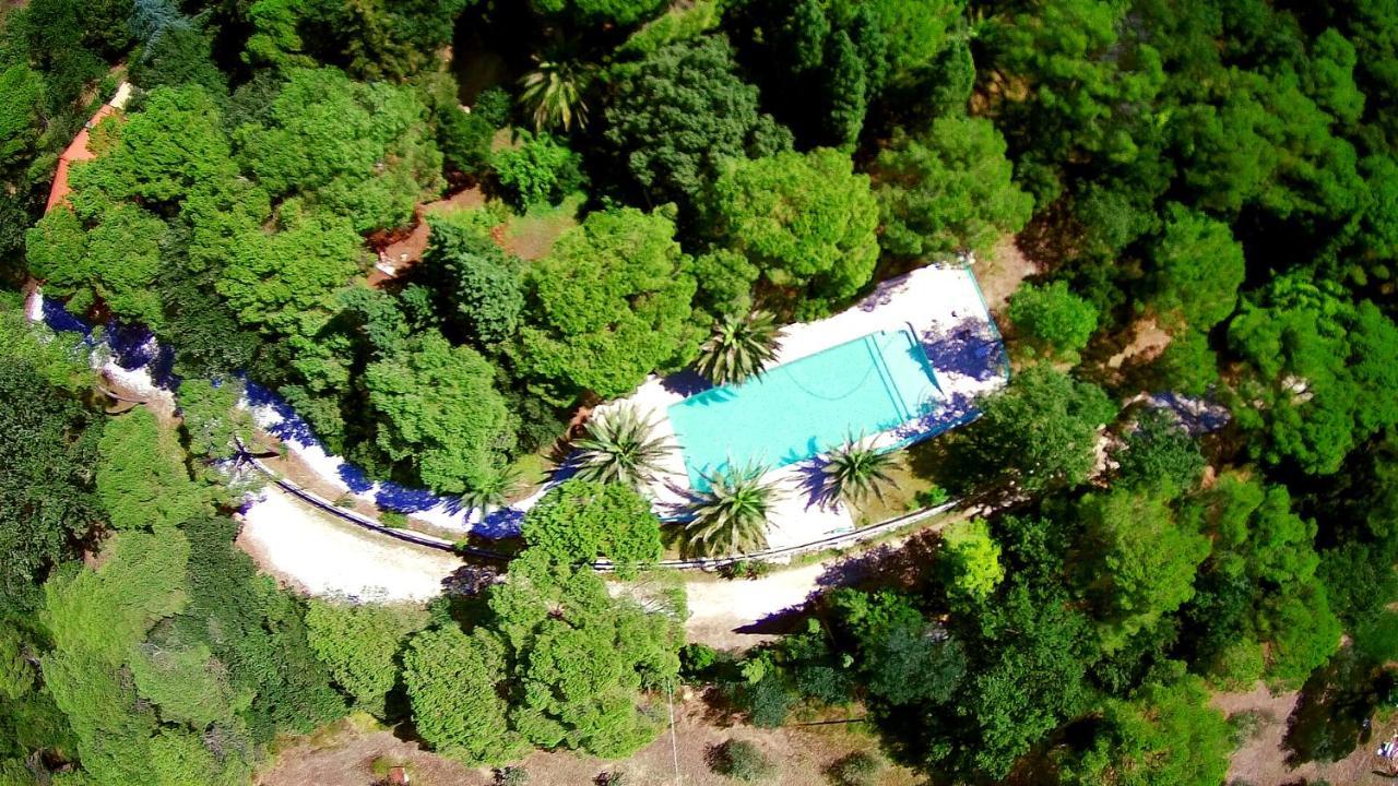 Agriturismo Poggio Al Pino Montelupo Fiorentino Εξωτερικό φωτογραφία